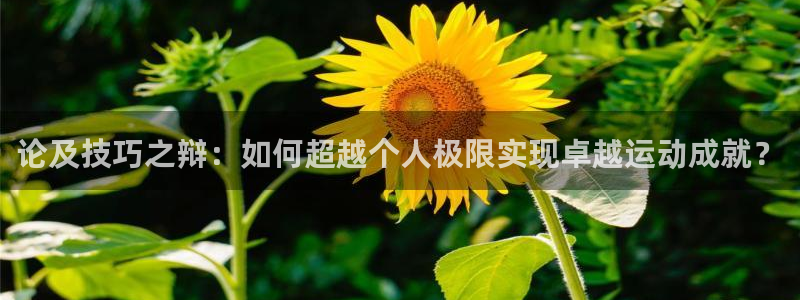 熊猫体育网站
