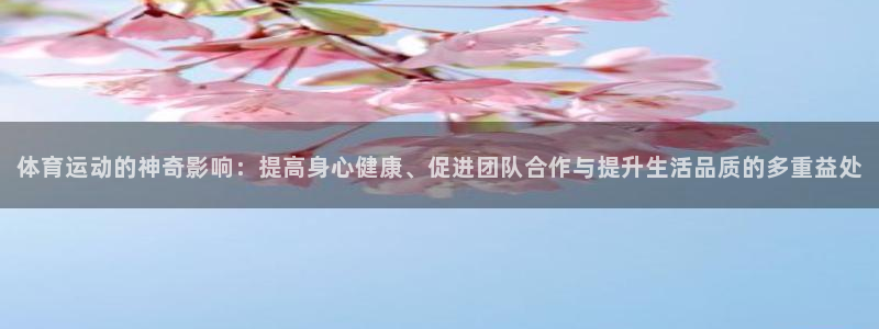 熊猫体育