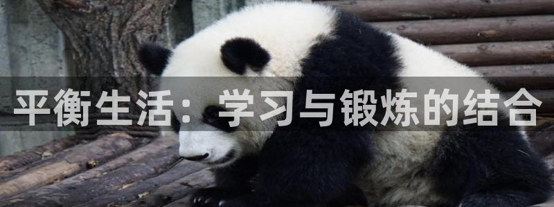 熊猫体育nba
