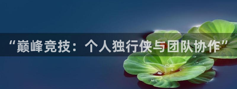 熊猫体育官网首页入口