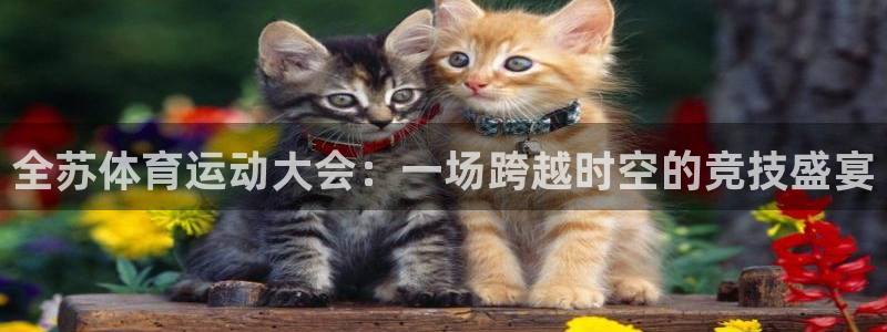 熊猫体育app下载安装
