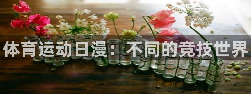 熊猫体育公园：体育运动日漫：不同的竞技世界