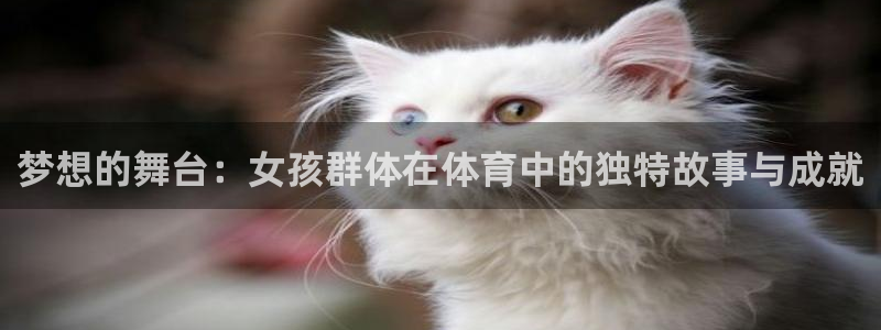 熊猫体育网址