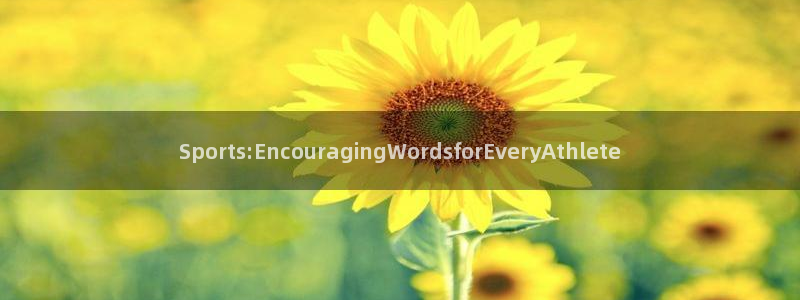 成都金熊猫体育：Sports:EncouragingWordsforEveryAthlete