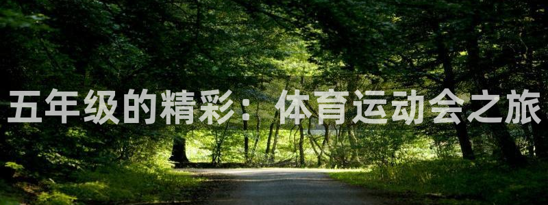 熊猫体育手机版下载