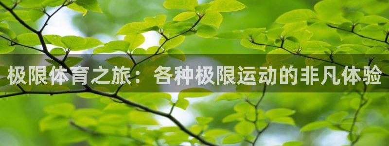 熊猫体育手机版下载：极限体育之旅：各种极限运动的非凡体验