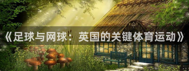 熊猫体育v3.新网页.org：《足球与网球：英国的关键体育运动》