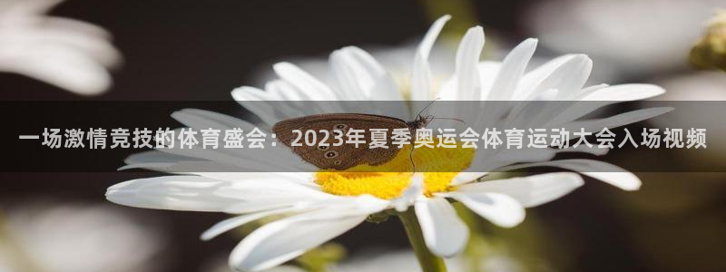 熊猫体育网站：一场激情竞技的体育盛会：2023年夏季奥运会体育运动大会入场视频