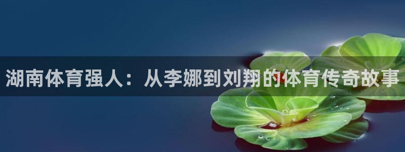 熊猫体育文化有限公司：湖南体育强人：从李娜到刘翔的体育传奇故事
