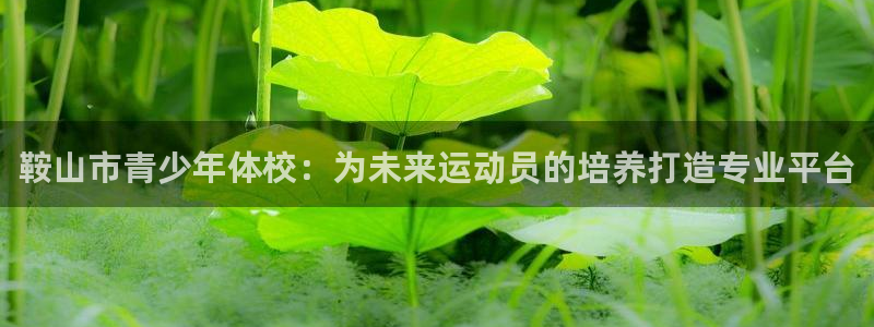 熊猫体育文化有限公司：鞍山市青少年体校：为未来运动员的培养打造专业平台