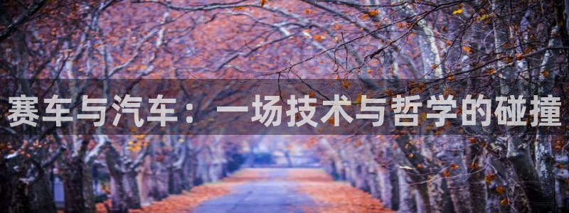 动感熊猫体育公园：赛车与汽车：一场技术与哲学的碰撞